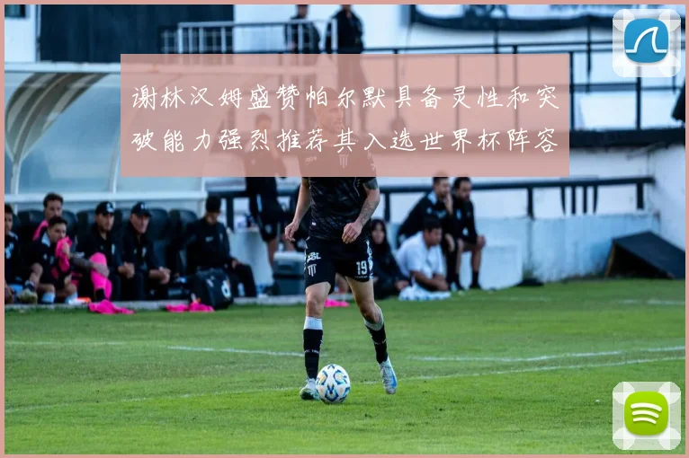 谢林汉姆盛赞帕尔默具备灵性和突破能力强烈推荐其入选世界杯阵容