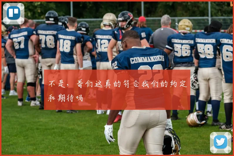 不是，哥们这真的符合我们的约定和期待吗